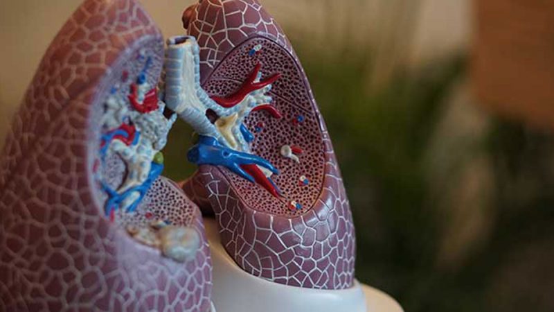 Cum sa avem grija de plamanii nostri